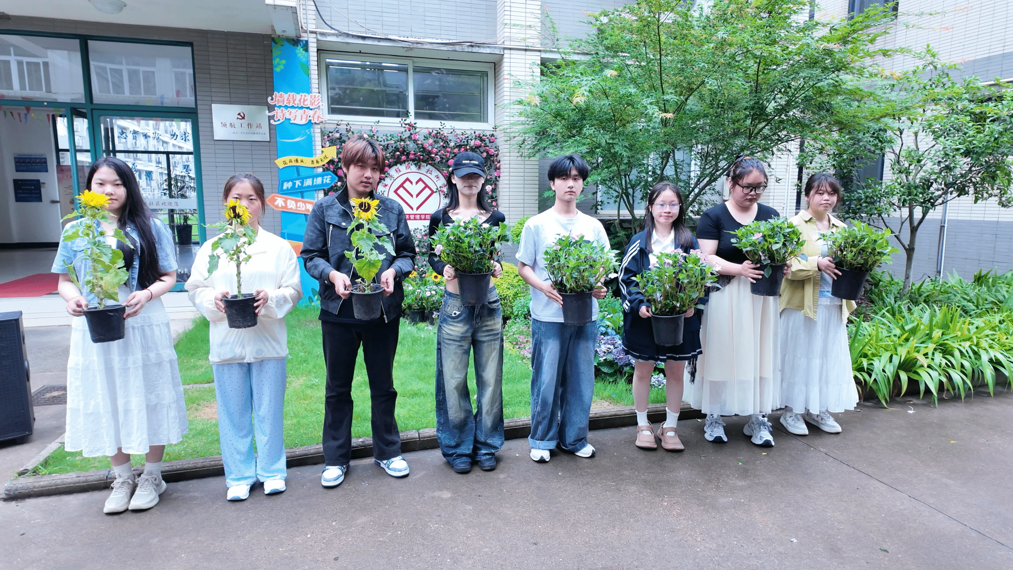 花境细节